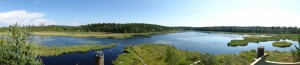 Latvari_panoraama_2014